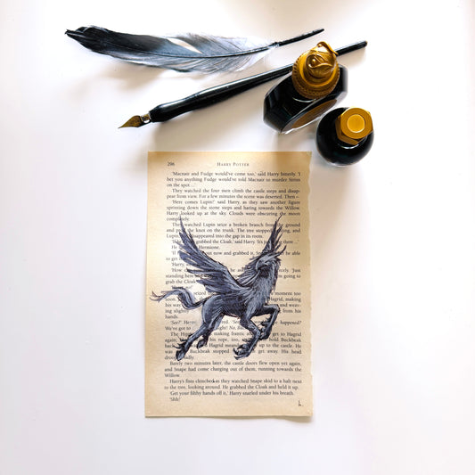 Specimen Studies : Hippogriff, study in ink on p296