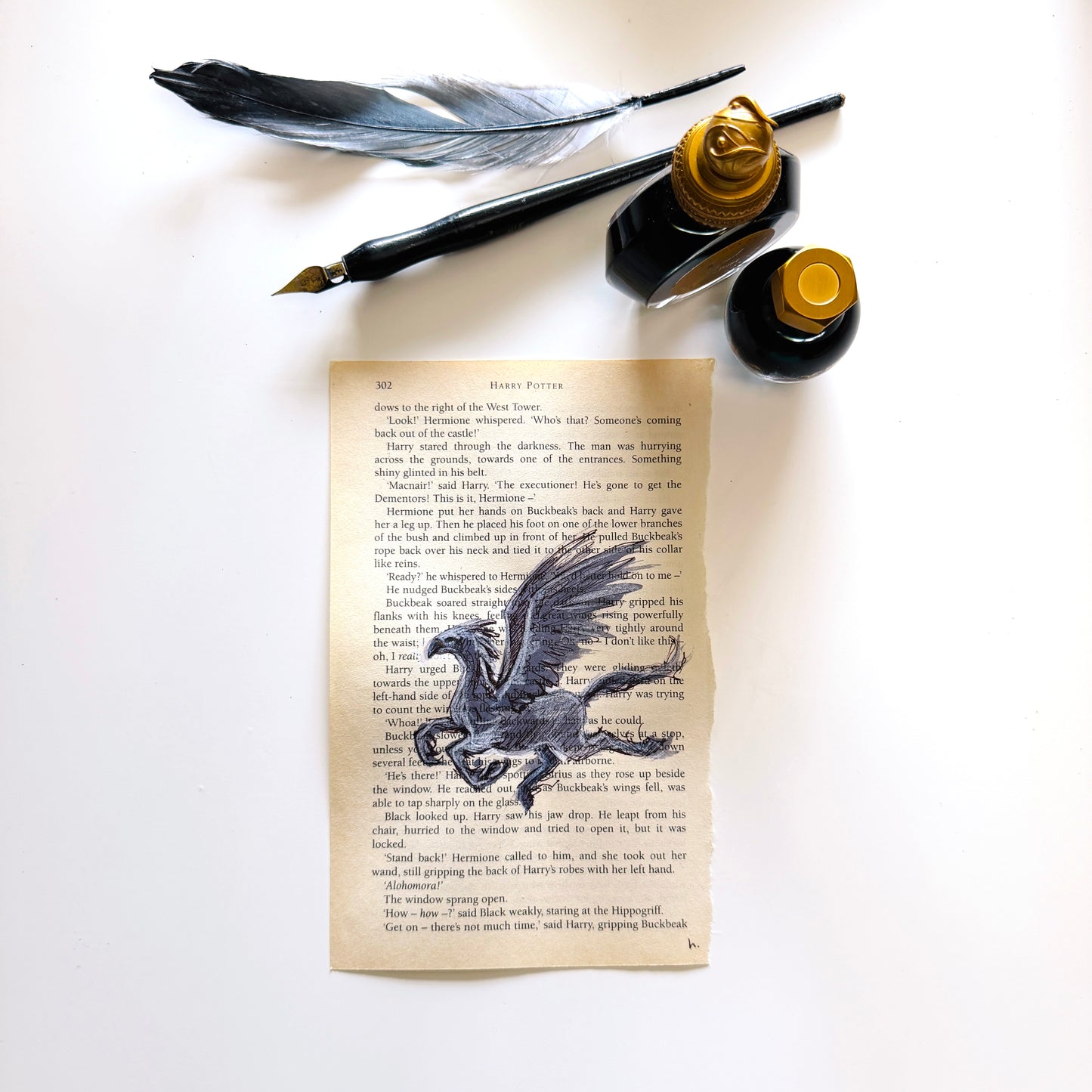 Specimen Studies : Hippogriff, study in ink on p302