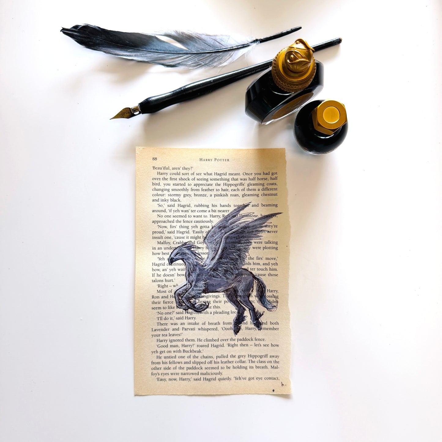 Specimen Studies : Hippogriff, study in ink on p88