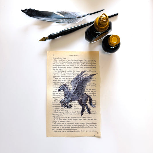 Specimen Studies : Hippogriff, study in ink on p88