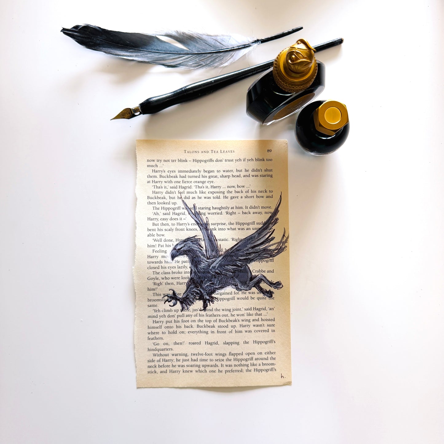 Specimen Studies : Hippogriff, study in ink on p89