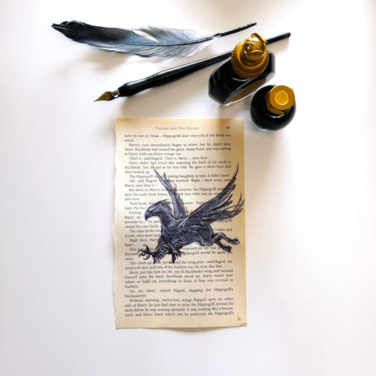 Specimen Studies : Hippogriff, study in ink on p89