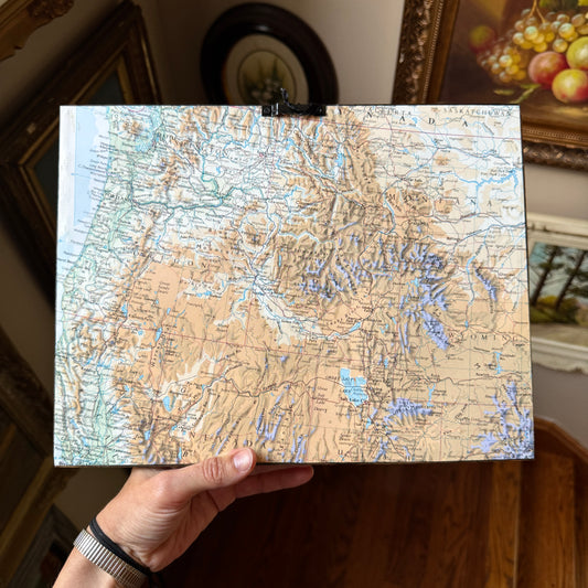 Into The Woods - PRINT in antique wood frame