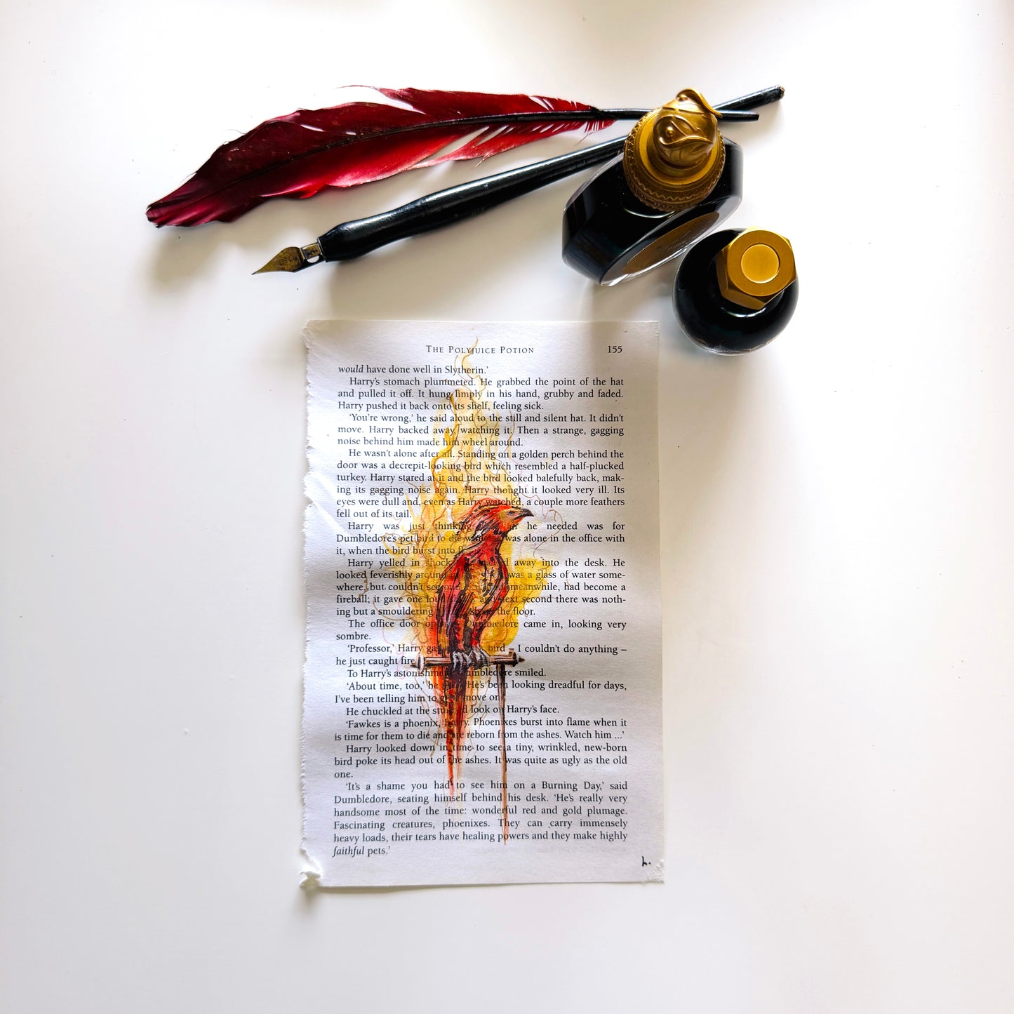 Specimen Studies : Phoenix, study in ink on p155