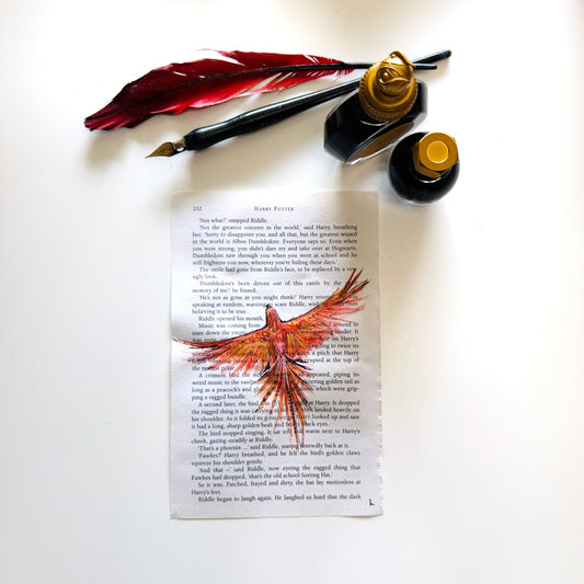Specimen Studies : Phoenix, study in ink on p232