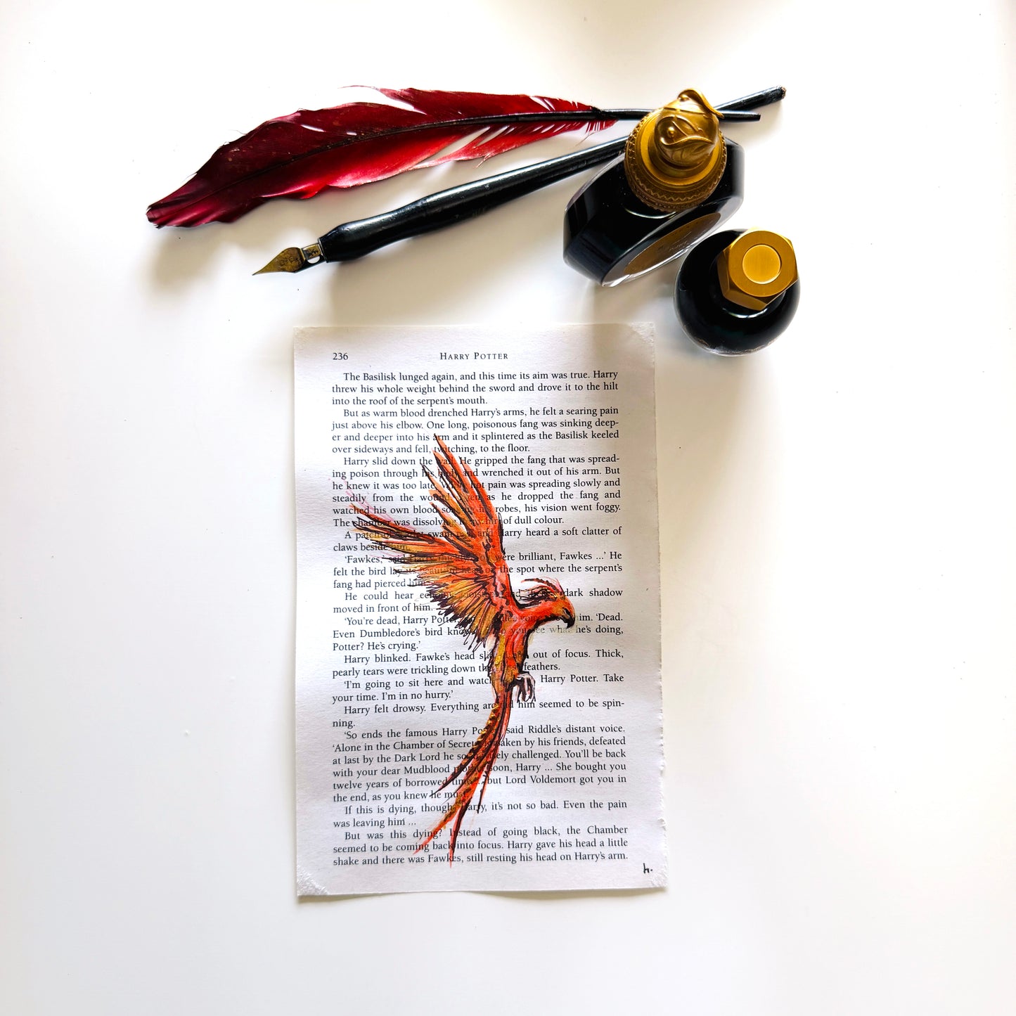 Specimen Studies : Phoenix, study in ink on p236