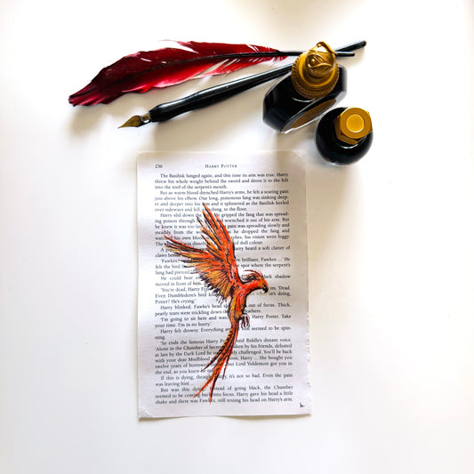 Specimen Studies : Phoenix, study in ink on p236