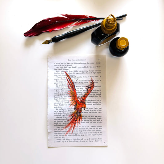 Specimen Studies : Phoenix, study in ink on p237