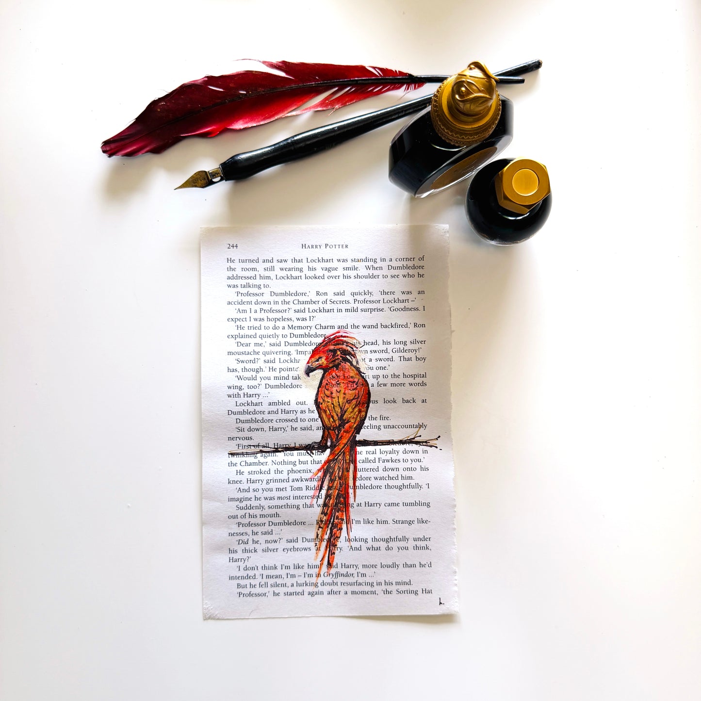 Specimen Studies : Phoenix, study in ink on p244