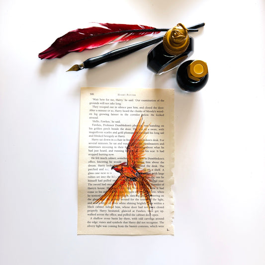 Specimen Studies : Phoenix, study in ink on p506