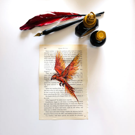 Specimen Studies : Phoenix, study in ink on p602
