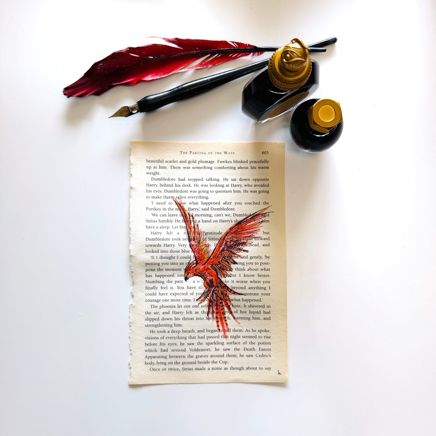 Specimen Studies : Phoenix, study in ink on p603