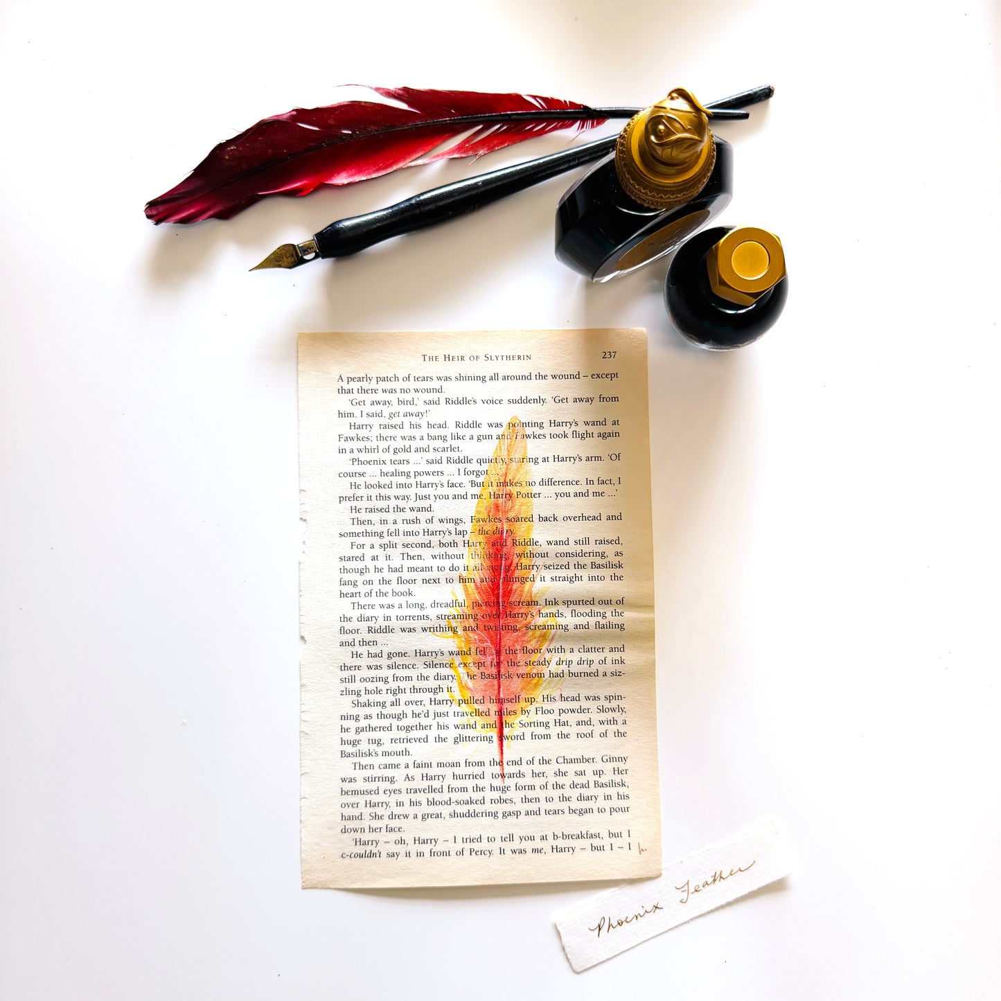 Specimen Studies : Phoenix Feather, study in ink on p237