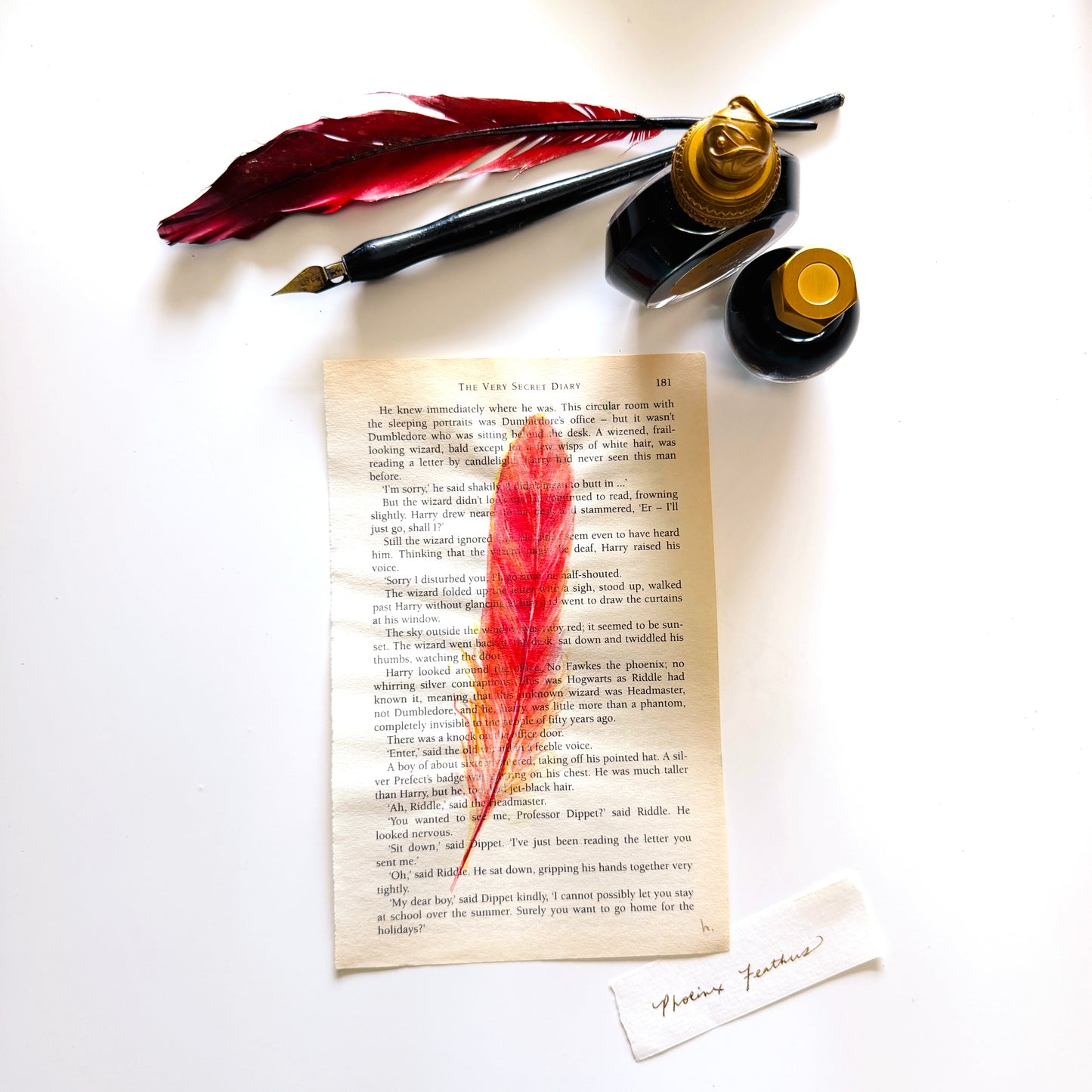 Specimen Studies : Phoenix Feather, study in ink on p181