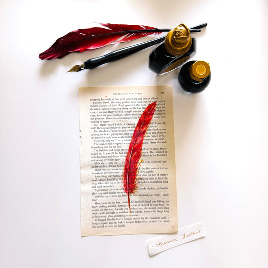 Specimen Studies : Phoenix Feather, study in ink on p235