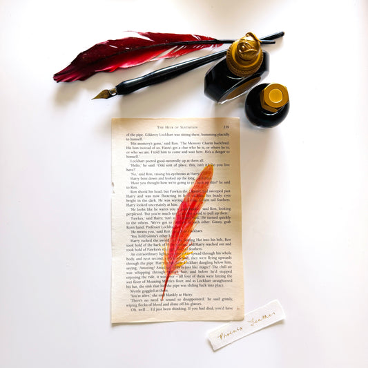 Specimen Studies : Phoenix Feather, study in ink on p239