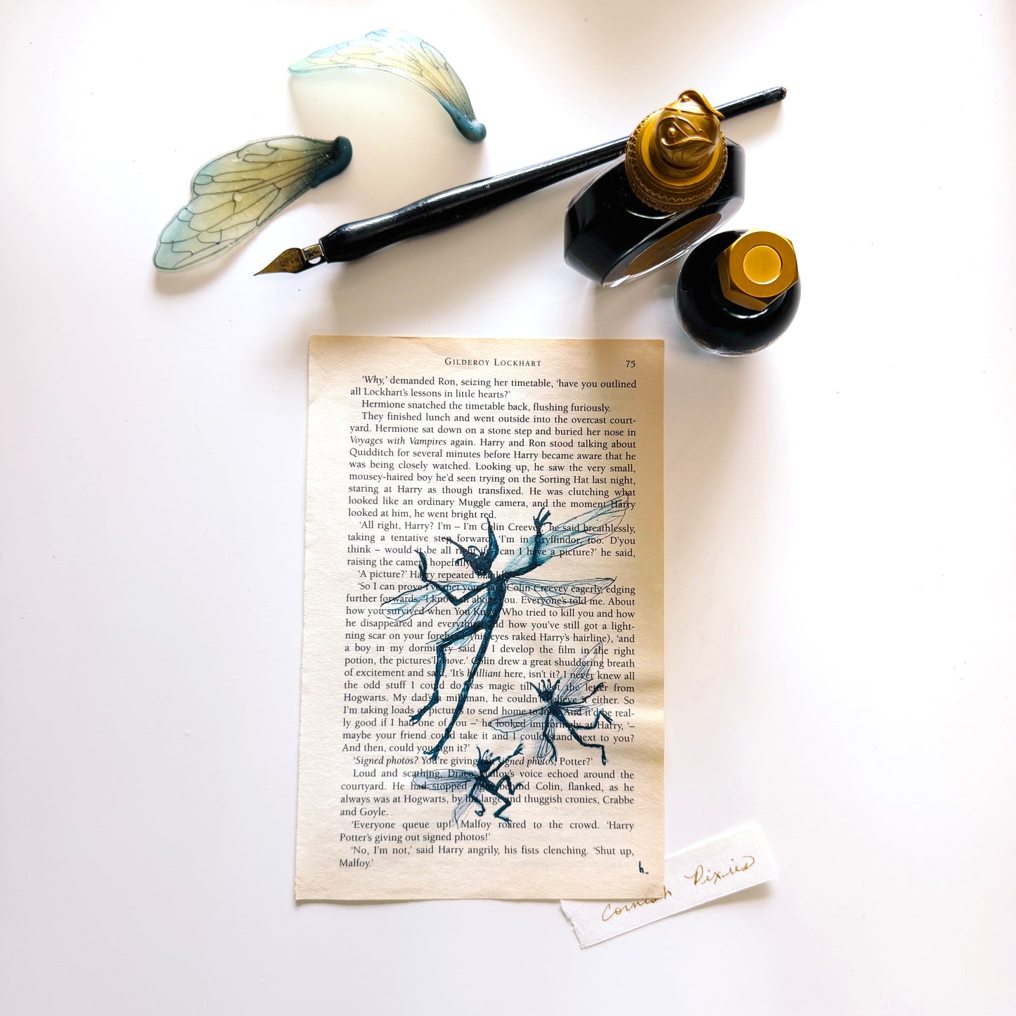 Specimen Studies : Pixy, study in ink on p75