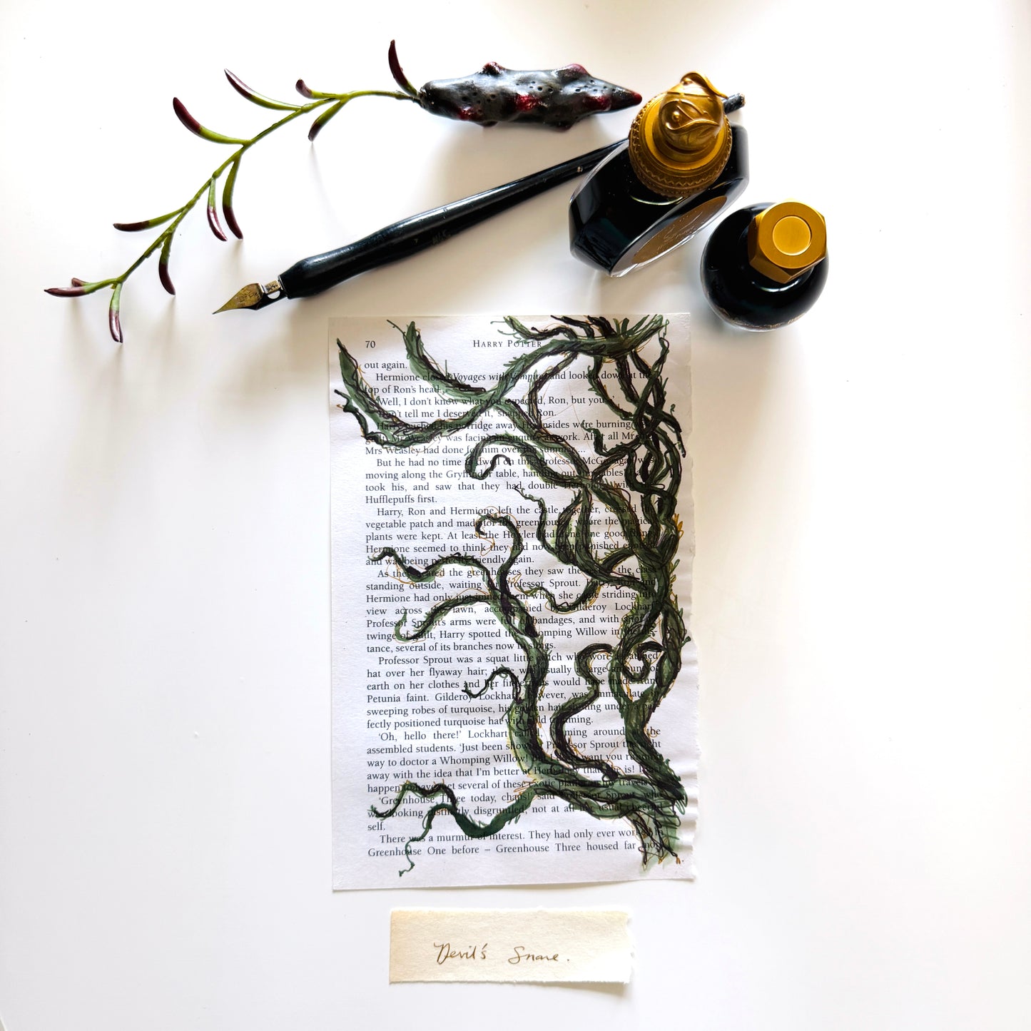 Specimen Studies : Snare, study in ink on p70