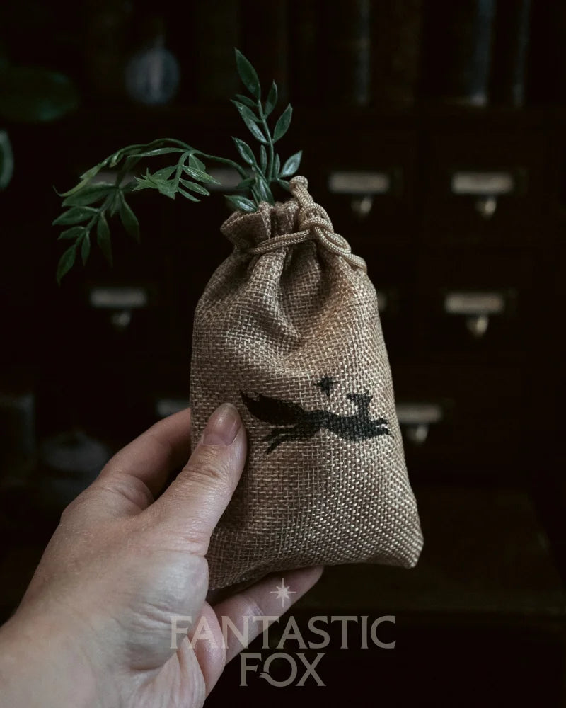 Specimens & Studies Collection Vol.1
