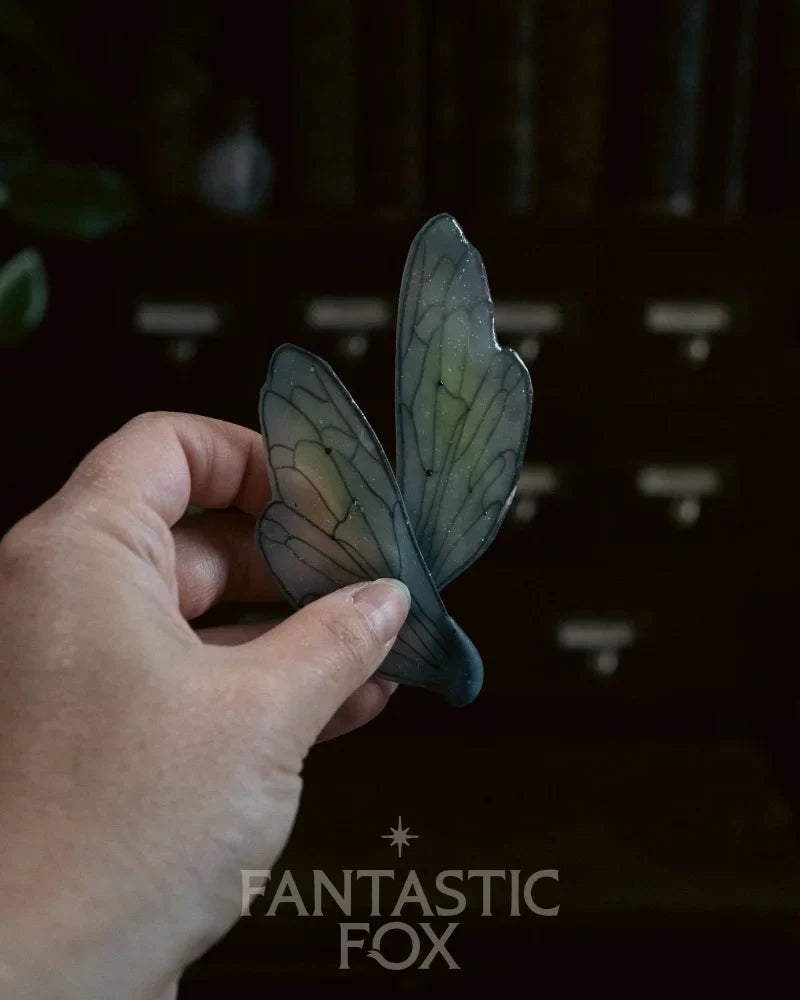 Specimens & Studies Collection Vol.1