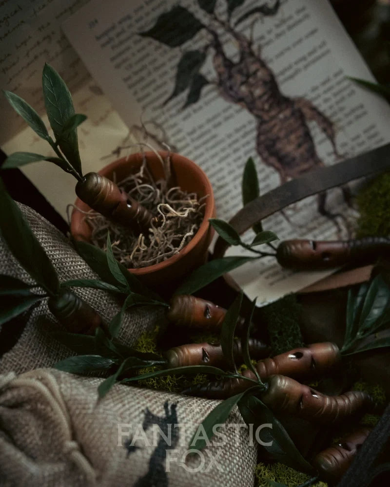Specimens & Studies Collection Vol.1