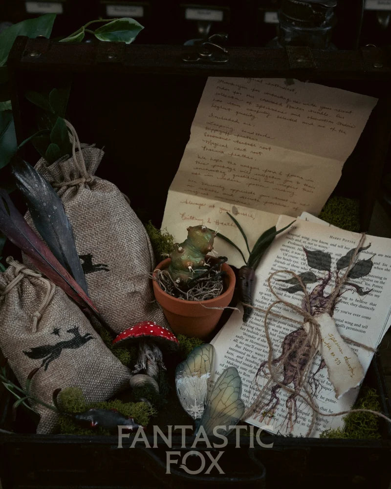 Specimens & Studies Collection Vol.1
