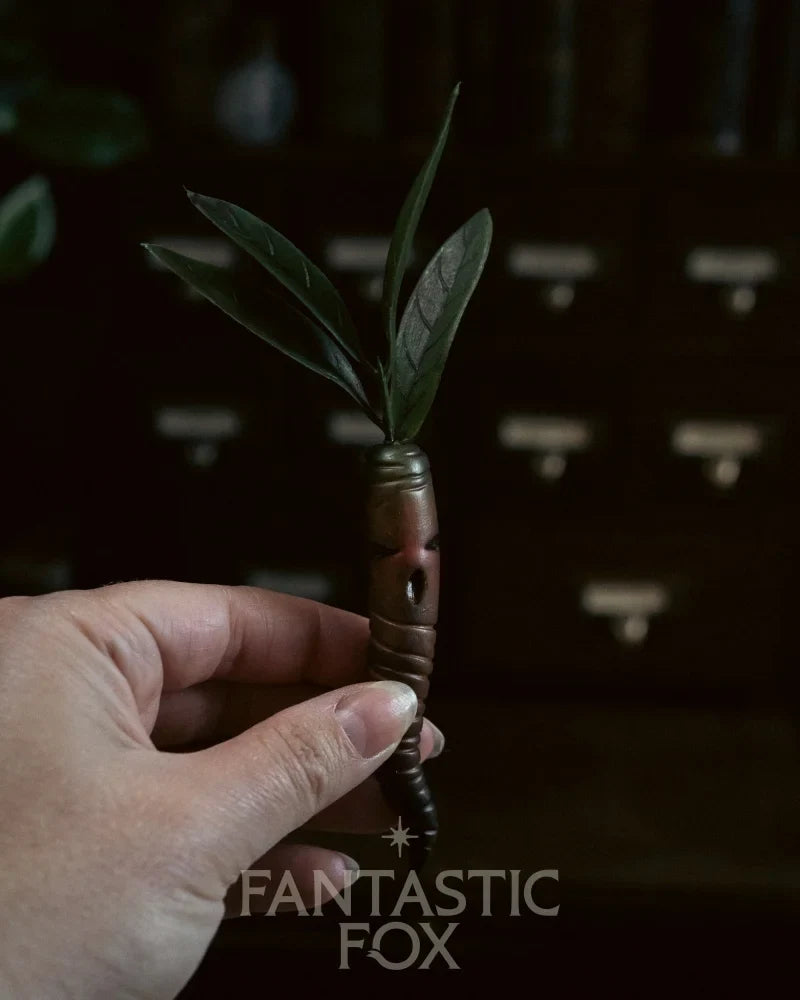 Specimens & Studies Collection Vol.1