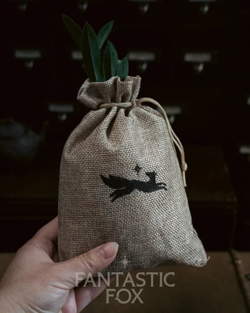 Specimens & Studies Collection Vol.1