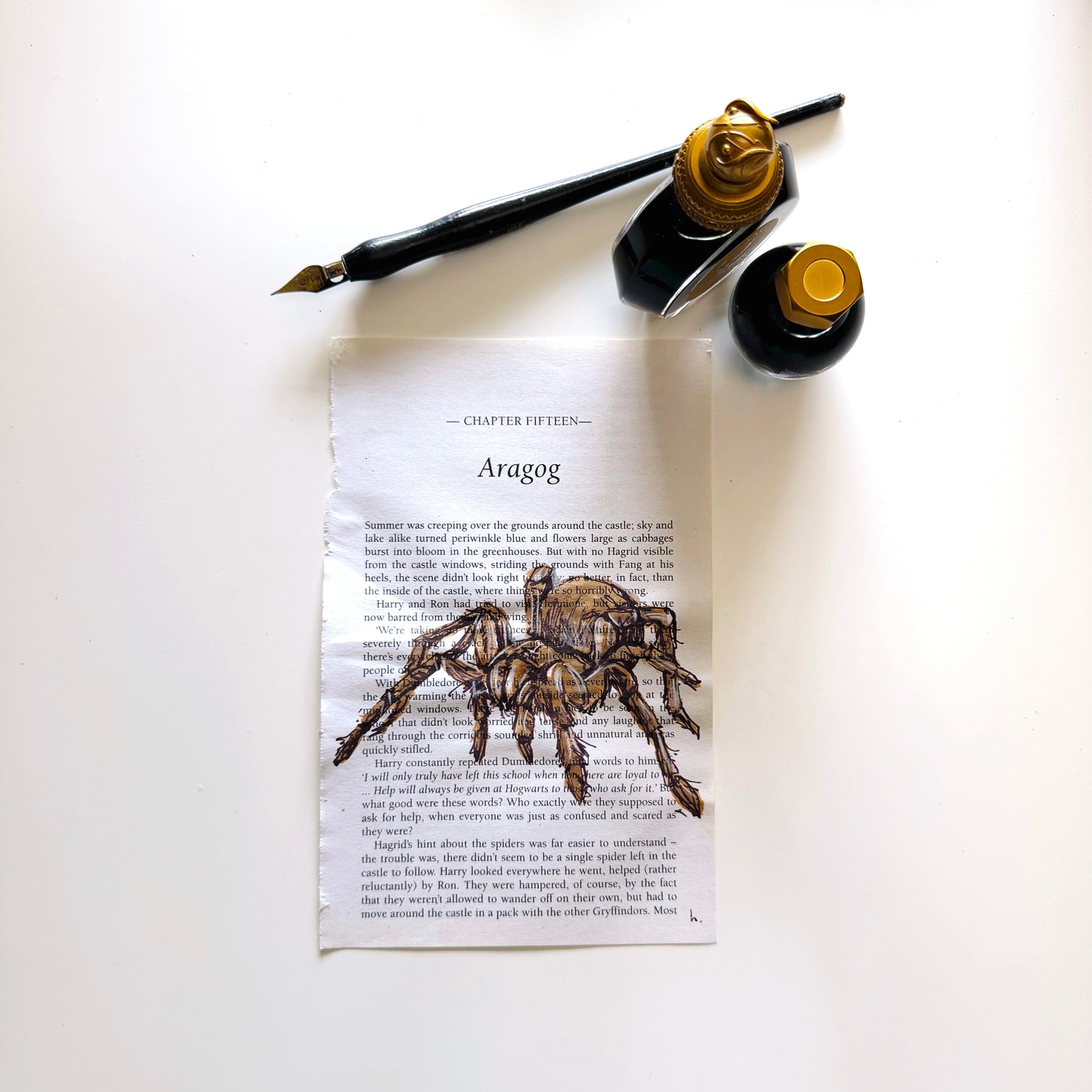 Specimen Studies : Spider, study in ink on chp15b