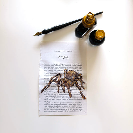 Specimen Studies : Spider, study in ink on chp15b