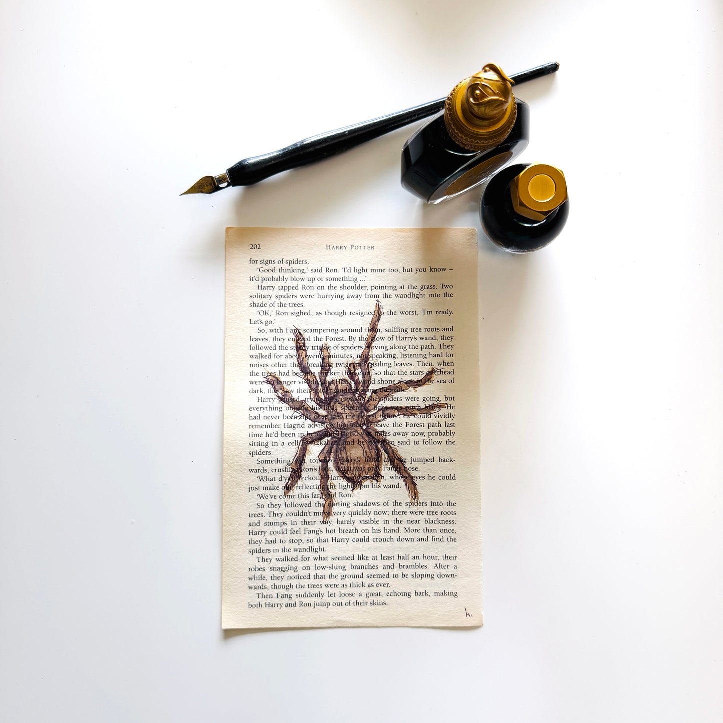 Specimen Studies : Spider, study in ink on p202