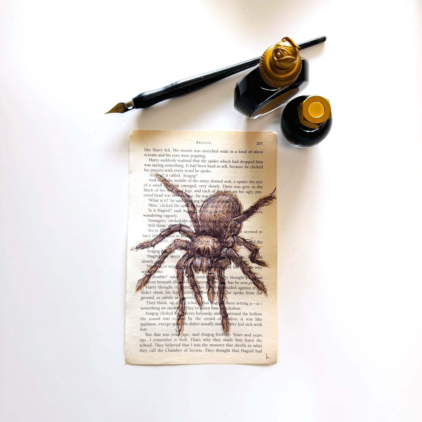 Specimen Studies : Spider, study in ink on p205
